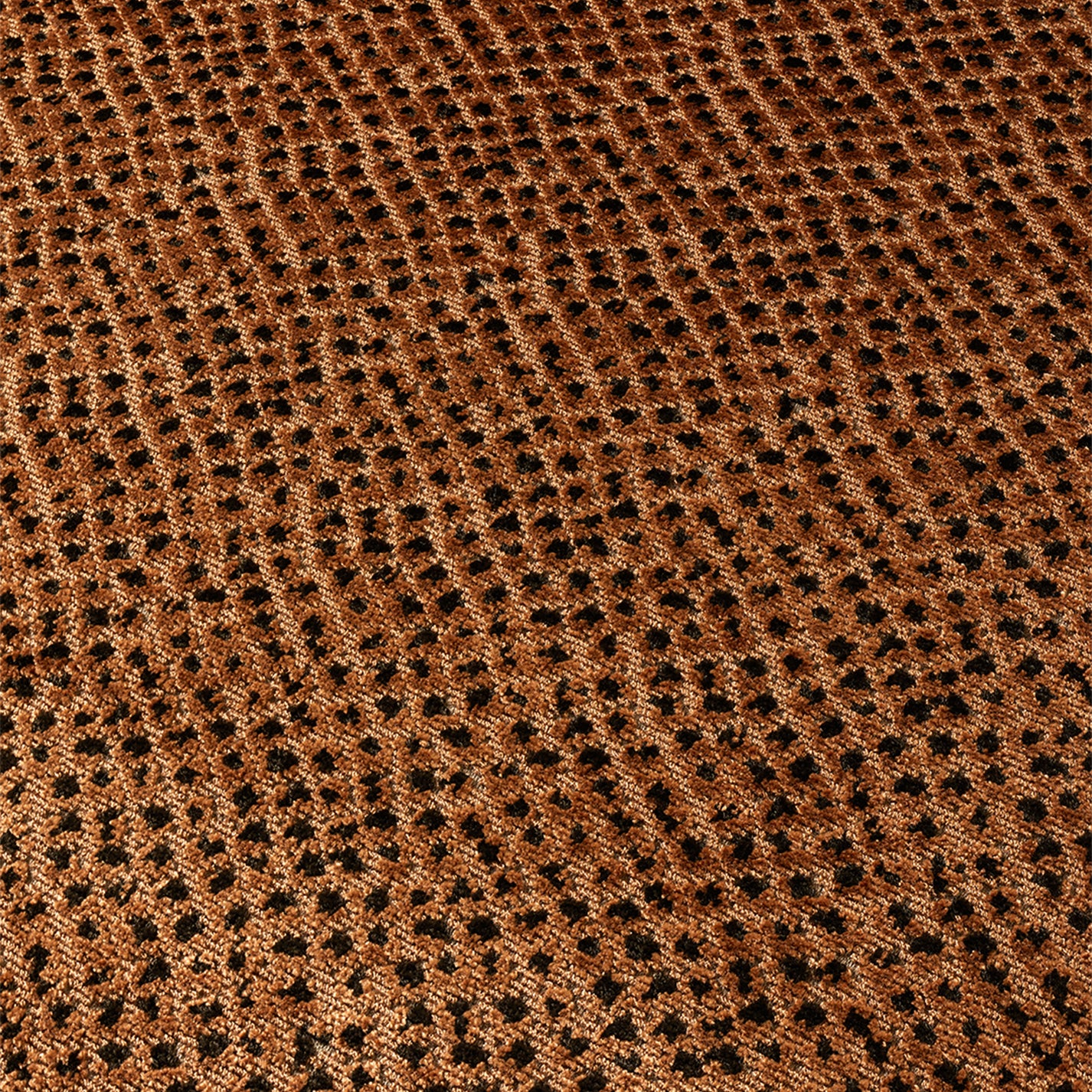 Banksia fabric in Coral